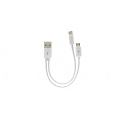 2-in-1 USB to 8-pin + Micro USB Data / Charging Cable